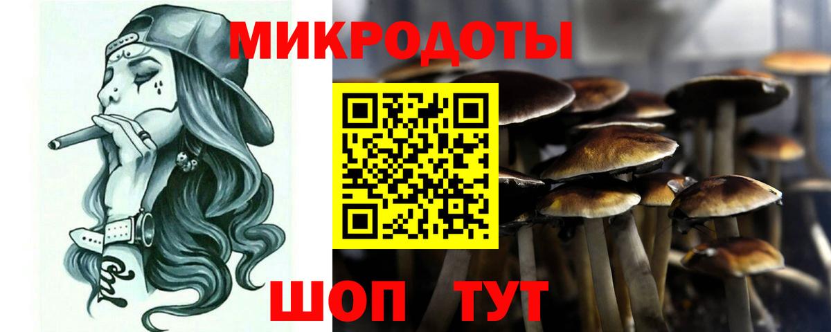 Псилоцибиновые грибы MAGIC MUSHROOMS  Вход с VPN  магазин  наркотиков  Кстово  Галлюциногенные грибы MAGIC MUSHROOMS 