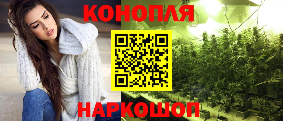 Бошки Шишки сатива Кстово